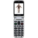 Image 1 of EVOLVEO EasyPhone FS EP-771
