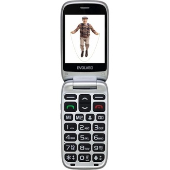 Image 1 of EVOLVEO EasyPhone FS EP-771