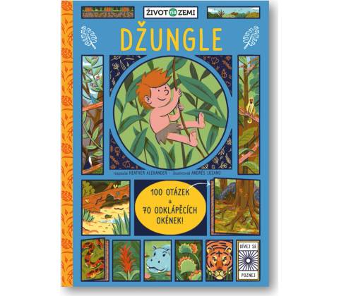 Džungle