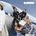 Parcels - Parcels LP