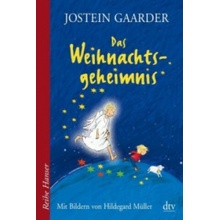 Das Weihnachtsgeheimnis