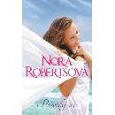 Pošetilý sen - Robertsová Nora