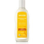 Weleda Oat регенериращ шампоан за суха и увредена коса 190ml