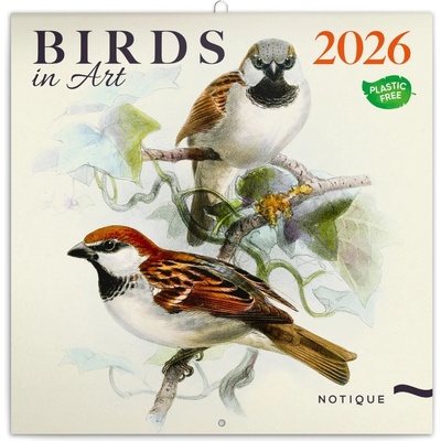 poznámkový Ptáčci 30 x 30 cm 2026 – Zboží Dáma