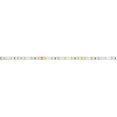 Brumberg QUALITYFLEX ONE 38201004