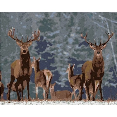 zuty Malování Podle Čísel Ušlechtilí Jeleni 80 x 100 Cm Plátno Rám