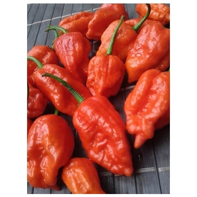 Carolina Reaper 17-CC2-2-6 (chilli semena) 1 ks