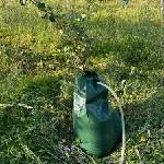 HERLY Торба за бавно поливане на дървета herly, 55 л