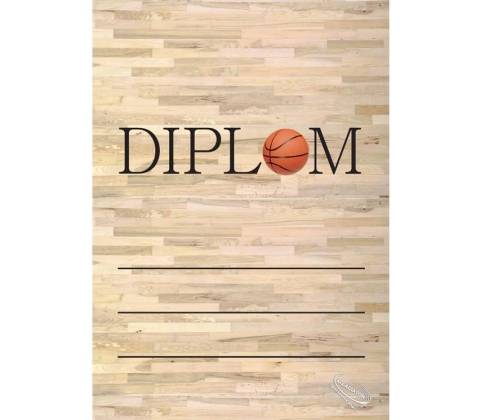 DB03e Diplom basketbal