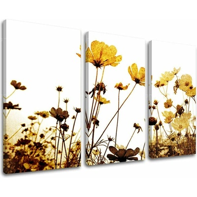 Obraz na stenu KVETY - 60x40
