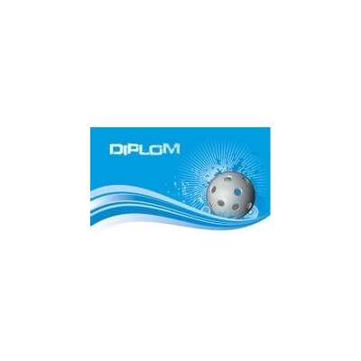 Poháry Bauer Diplom DP0015 Florbal