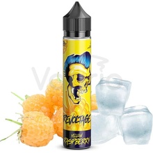 Revoltage Chladivá malina Shake and Vape 10 ml