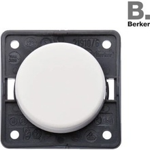 Berker 321/256