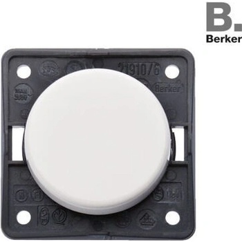 Berker 321/256