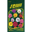Semo Portulaka veľkokvetá - plnokvetá zmes 0,2 g