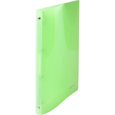 Karton P+P 4 krúžkový zakladač A4 2 cm zelený