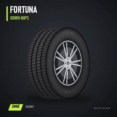 Fortuna Gowin UHP3 225/45 R19 96V