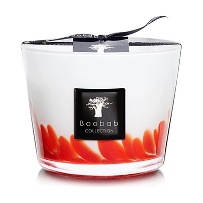 Baobab Collection Feathers Maasai 10 cm