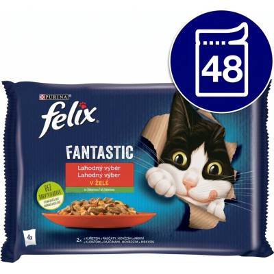 Felix FANTASTIC multipack kuracie mäso (kurča), hovädzie mäso so zeleninou 48 x 85 g