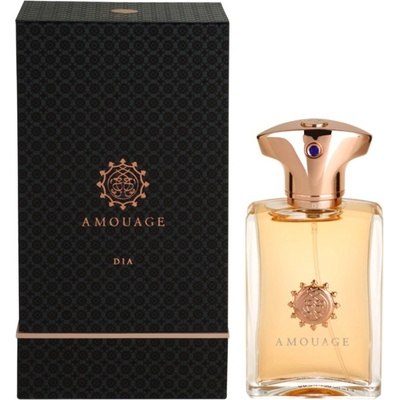 Amouge Dia parfumovaná voda pánska 50 ml