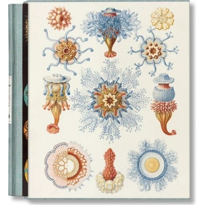 The Art and Science of Ernst Haeckel - Rainer Willmann, Julia Voss