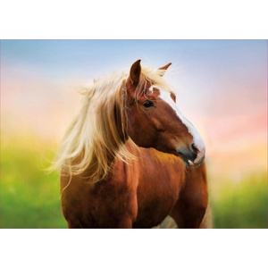 Educa - Puzzle Horse at sunrise - 500 piese