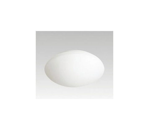 NBB 910010031