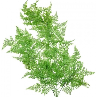 Clayre & Eef Zelená umělá převislá rostlina kapradí - 10*5*80 cm - Clayre & Eef