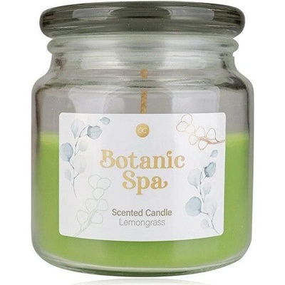 Accentra Botanic Spa 330 g