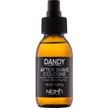 Dandy After Shave voda po holení 100 ml