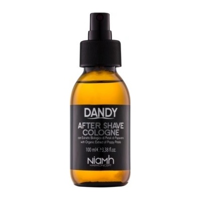 Dandy After Shave voda po holení 100 ml