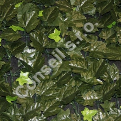 HEDERA ACER, rozmer rolky 1,5x3,0 m
