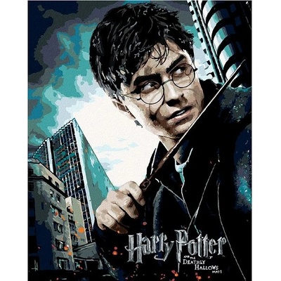 zuty Malování Podle Čísel Plakát Harry Potter A Relikvie Smrti 40 x 50 Cm Plátno