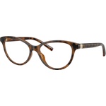 Giorgio Armani AX3138U 8213