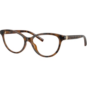Giorgio Armani AX3138U 8213