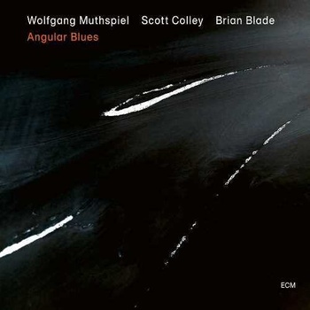 MUTHSPIEL, WOLFGANG - ANGULAR BLUES CD