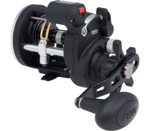 PENN Rival Level Wind 20 LH