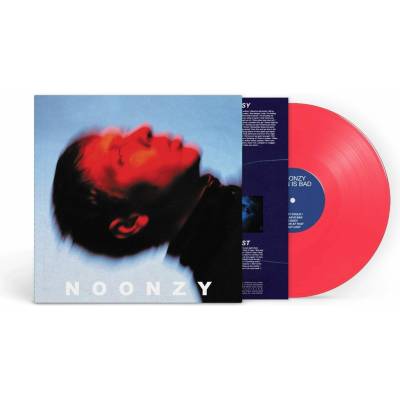 PLAN IS BAD Vinyl