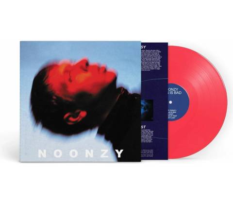 PLAN IS BAD Vinyl