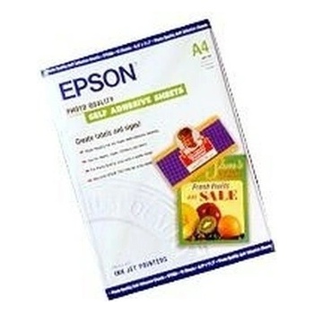 Epson C13S041106