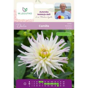 Image 1 of W. Legutko Далия Камила крем 1 бр