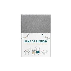 Bump to Birthday (ISBN: 9781907860942)