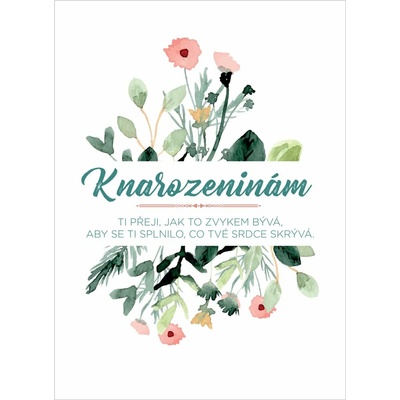 Evolution Group Přání k narozeninám