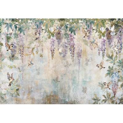 Postershop Fototapeta vliesová Flowers Violet Wisteria Romantic rozměry 312x219cm