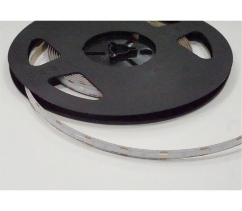ECOLIGHT EC20300