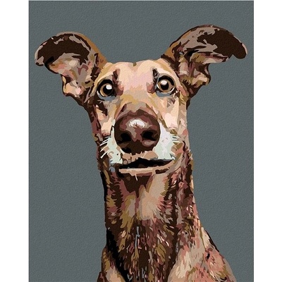 zuty malování podle čísel Pes s nastraženýma ušima 80 x 100 cm bez rámu a bez vypnutí plátna