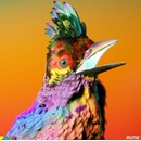 Palaces Flume LP