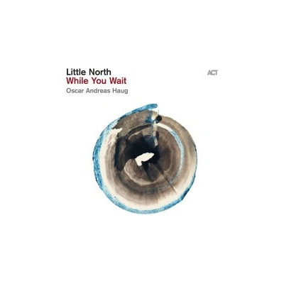 LITTLE NORTH - WHILE YOU WAIT CD
