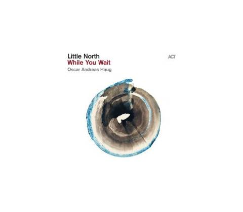 LITTLE NORTH - WHILE YOU WAIT CD
