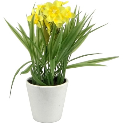 Narcisy v črepníku žlté 21cm